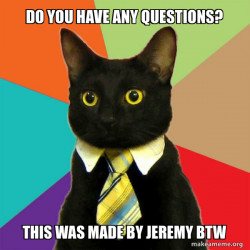 Business Cat