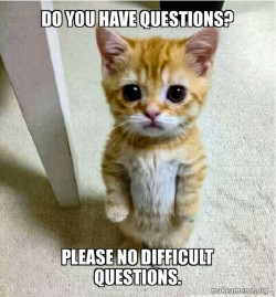 Cute Cat Standing