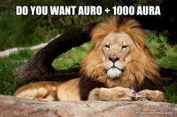 Contemplative Lion