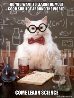 Chemistry Cat