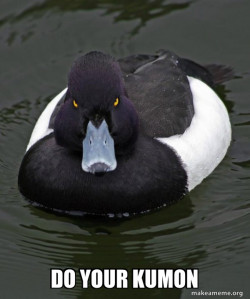 Revenge Duck ( Angry Advice Duck )