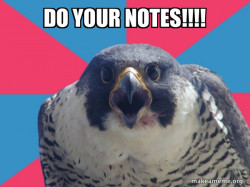 Millennial Falcon