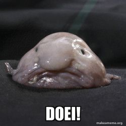 Blobfish