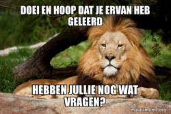 Contemplative Lion