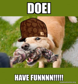 Scumbag dog
