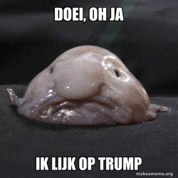 Blobfish