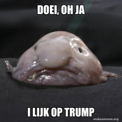 Blobfish