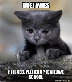 Confession Cat