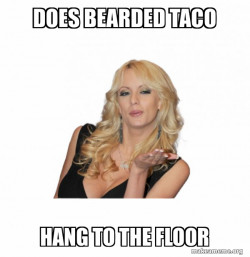 Stormy Daniels