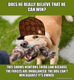 Scumbag dog