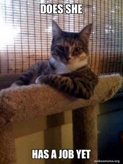 The Most Interesting Cat in the World