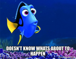 Dory from Nemo  (5 second memory)