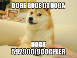 Doge