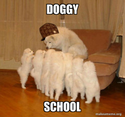 Scumbag Storytelling Dog