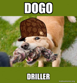 Scumbag dog