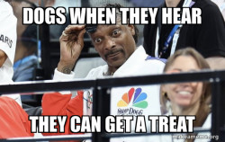 Snoop Dogg Sunglasses at Olympics