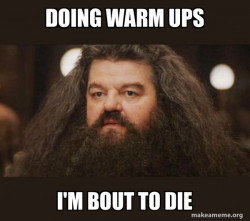 Hagrid - I should not have said that