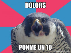 Millennial Falcon
