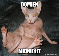 Hairless Cat