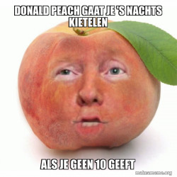 Impeached Donald Trump