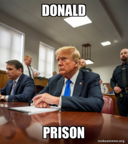 Trump Court Room