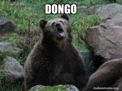 Sarcastic Bear