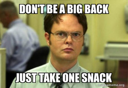 Schrute Facts (Dwight Schrute from The Office)