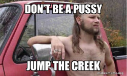 Almost Politically Correct Redneck