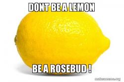 Lemon