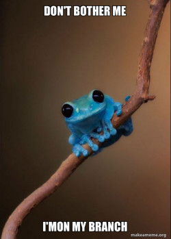 Small Fact Frog