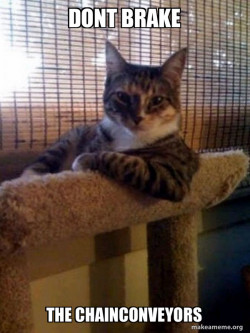 The Most Interesting Cat in the World