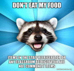 Lame Pun Coon