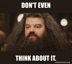 Hagrid - I should not have said that