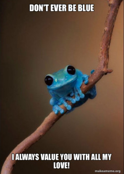 Small Fact Frog