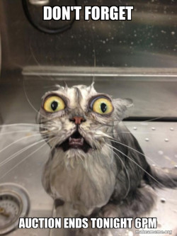 Cat bath