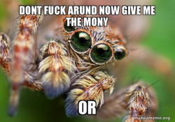 Hipster Spider