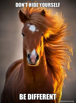 Ridiculously photogenic horse