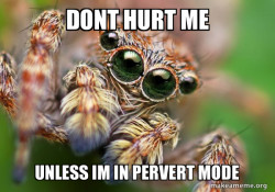 Hipster Spider