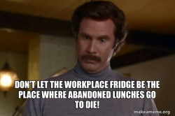Ron Burgundy I am not even mad or That's amazing (Anchorman)