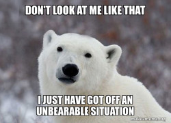 Popular Opinion Polar Bear