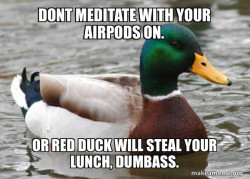 Actual Advice Mallard