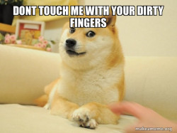 Doge