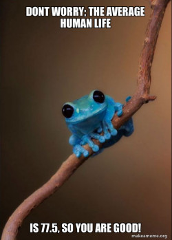 Small Fact Frog