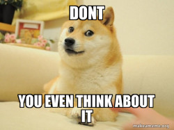 Doge