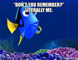 Dory from Nemo  (5 second memory)