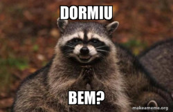 Evil Plotting Raccoon