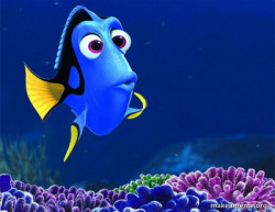 Dory from Nemo  (5 second memory)