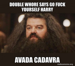 Hagrid - I should not have said that