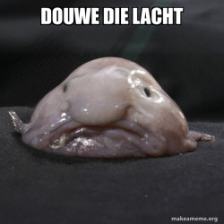 Blobfish