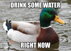 Actual Advice Mallard